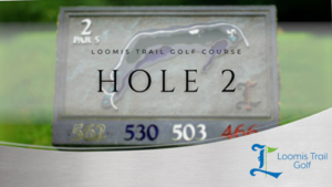 Hole 2 Flyover